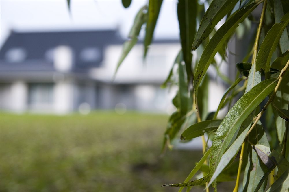 B&B Maison Kerkhove Zewnętrze zdjęcie